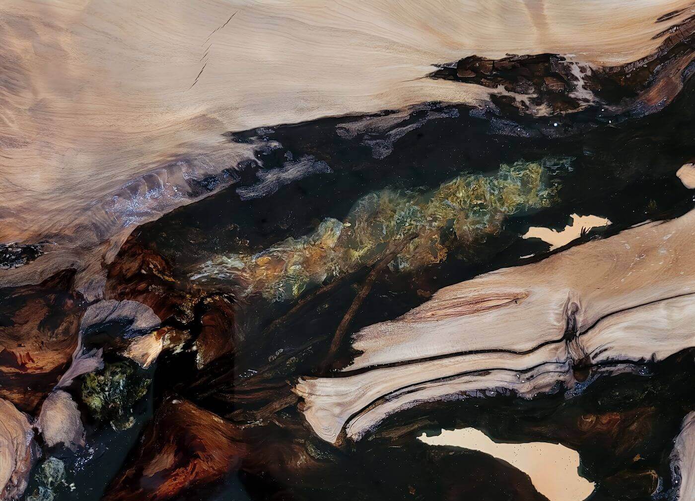 Inlaid golden amber set in epoxy resin on the high-quality tabletop of a kauri conference table made of natural burl wood with a natural character 