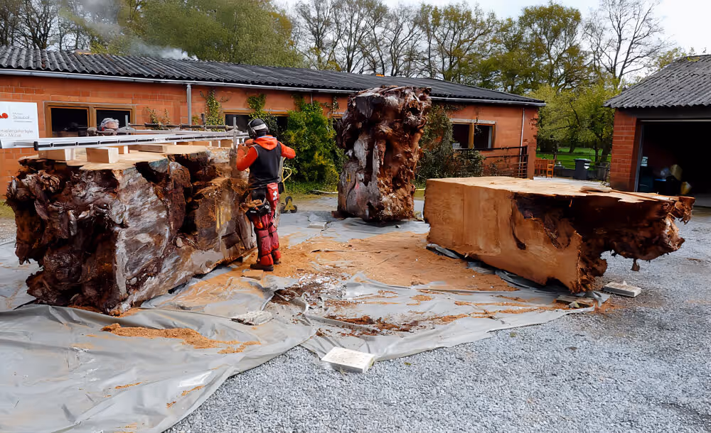 Cutting the massive kauri root to create exclusive natural wood tables, unique dining tables, and large conference tables