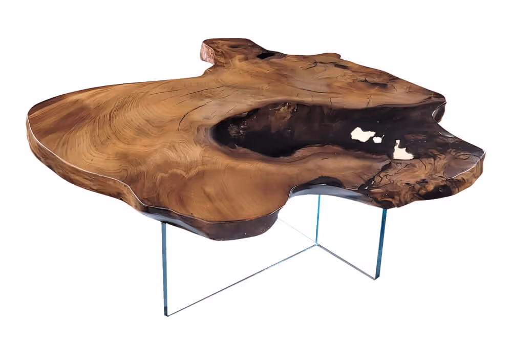 A unique coffee table made of kauri wood with a burl wood tabletop—a truly one-of-a-kind piece and a sculptural piece of furniture