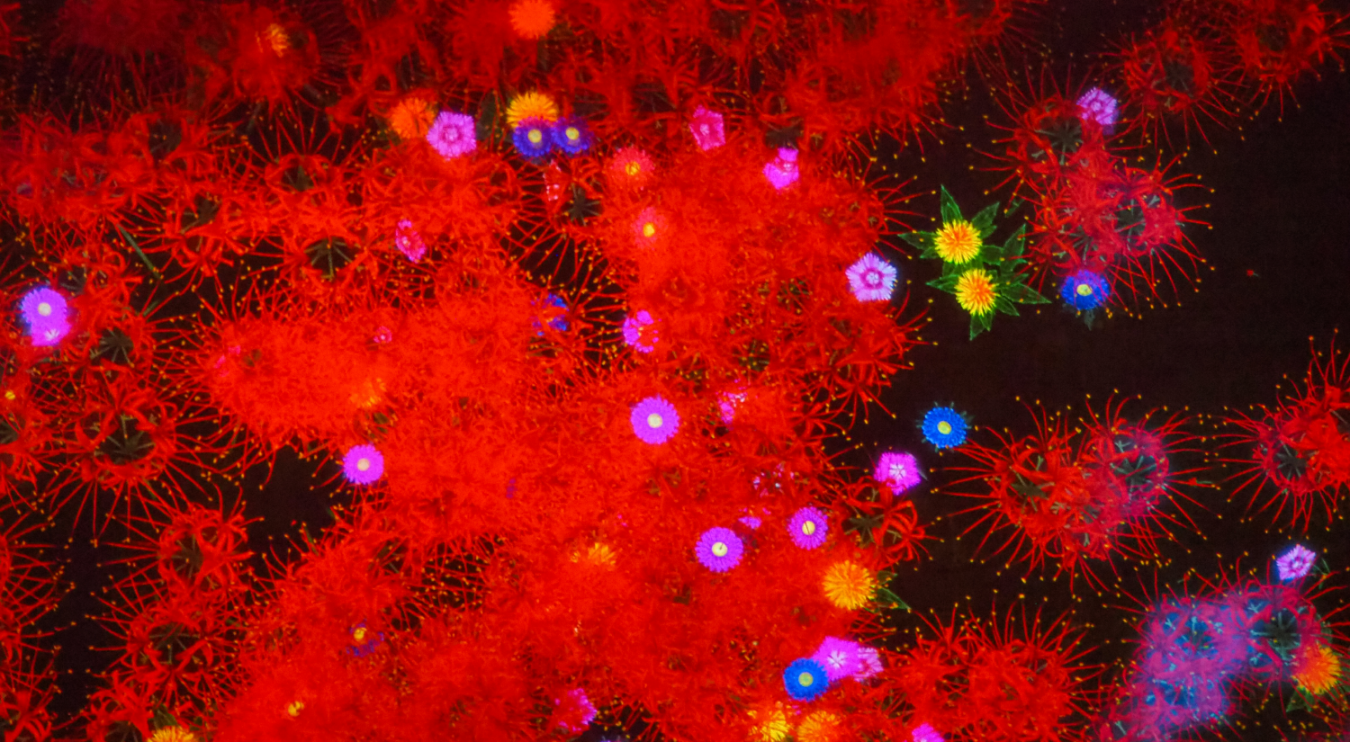 Digital art work at TeamLab Borderless