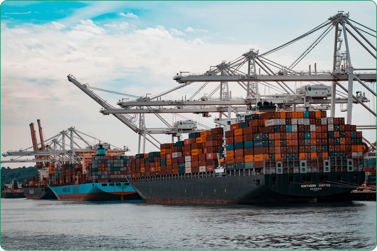 logistics custom software development