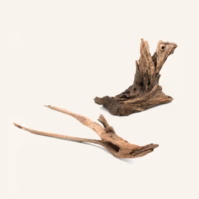 Two pieces of driftwood on a white background