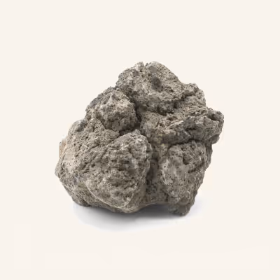 A rock is shown against a white background