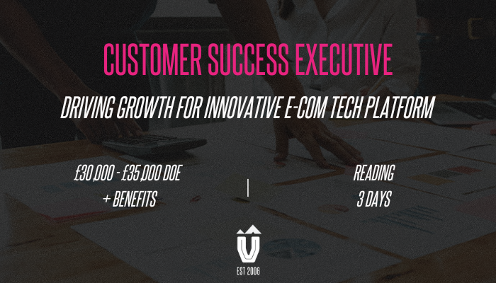 Customer Success Executive