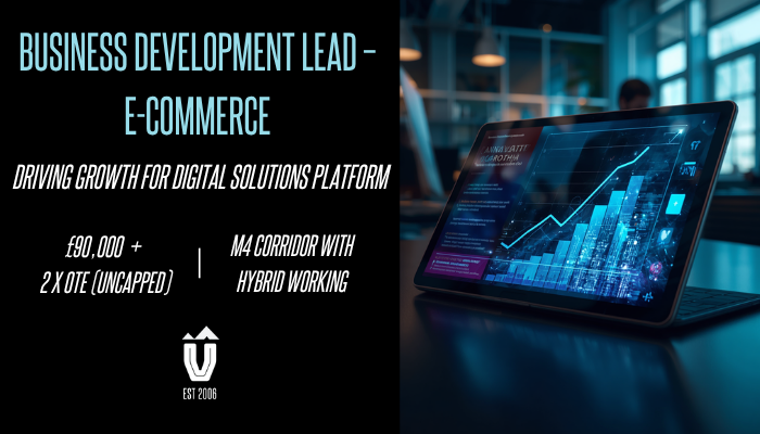 Business Development Lead – E-commerce