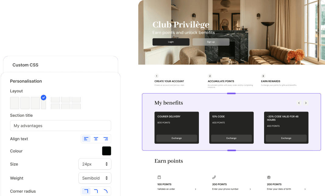 Advanced customisation of the loyalty programme