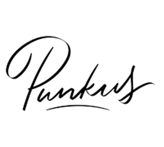 Handwritten-style cursive text reading 'Punkus' with an underline.