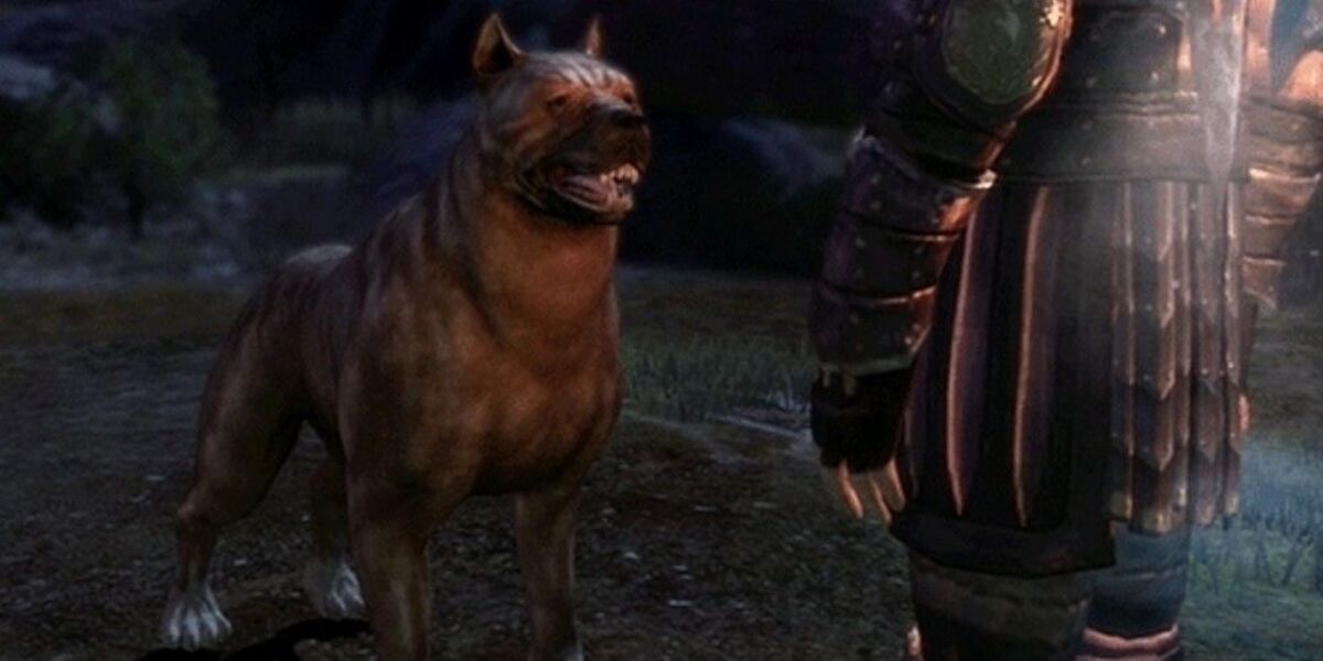 A screenshot from Dragon Age: Origins of a Mabari war hound, a boxer-like dog.