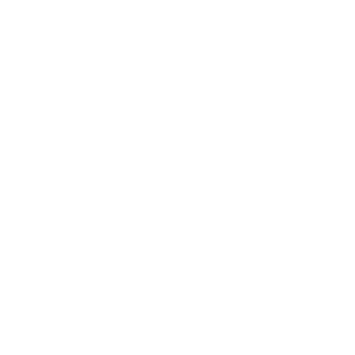 Inswitch - Embedded Finance Making any Company a Fintech Company
