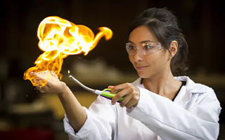 businessdesk: Maximum Entropy For Nanogirl Labs
