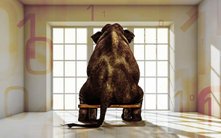 cio: The Elephant Problem: Why You Can’t See AI Opportunities