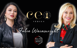 linkedin : Julie Wainwright: The Power Of Embracing Failure