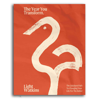 The Year You Transform: The Quickest Path to Changing Your Life for the Better