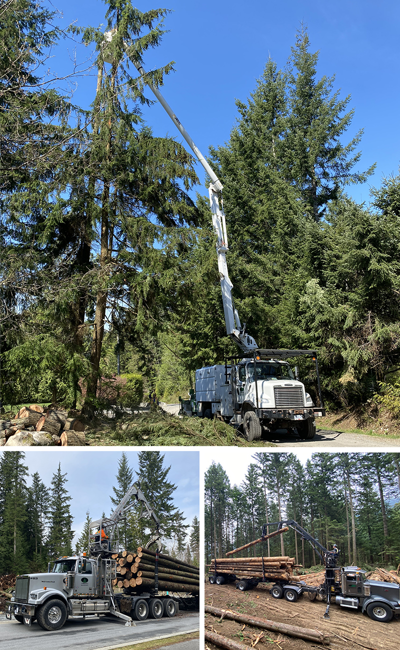 Treeko Contracting