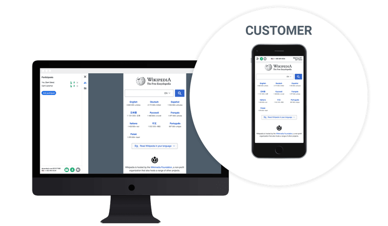 this is how the meeting looks like for you and for your customer