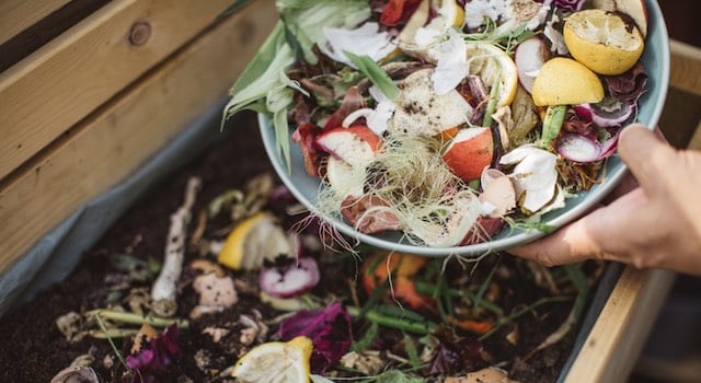 Best 9 Ways to Reduce Food Waste (& How We Do It)
