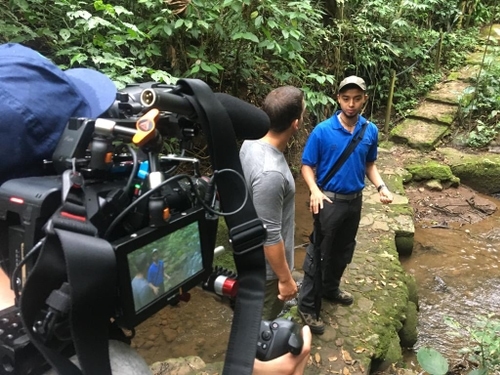 Monteverde Cloud Forest Biological Preserve, Costa Rica.