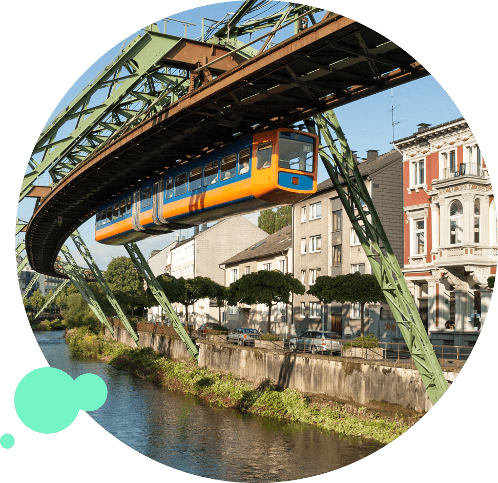 Schädlingsbekämpfung & Kammerjäger Wuppertal