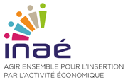 logo INAE