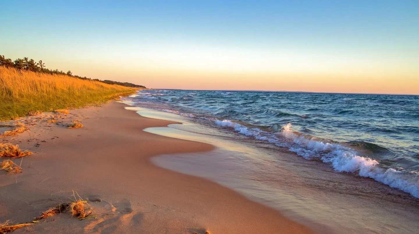 Sandy beach at sunset with gentle waves and golden grass along the shore under a clear sky.