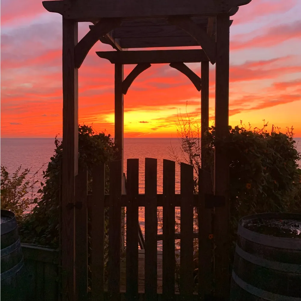 Wooden gate and arbor framed by plants overlooking a vibrant orange and pink sunset over a calm lake.