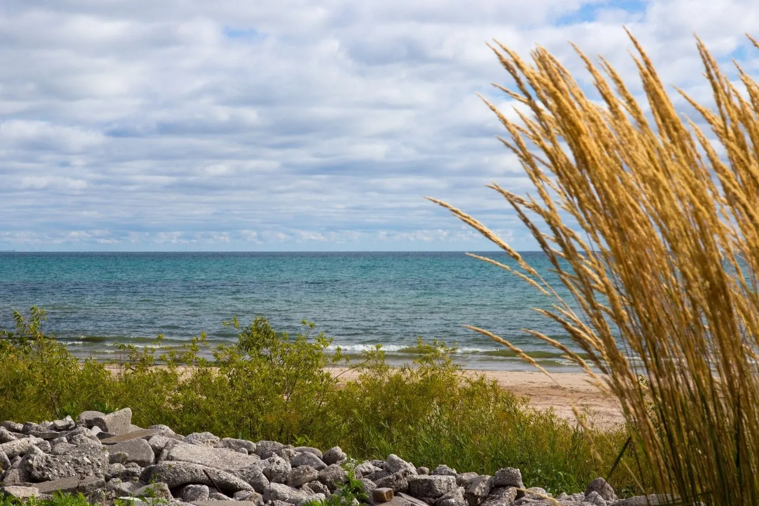 Coastal scene with rocky shore and green vegetation in foreground, golden tall grass on right, sandy beach, and calm blue lake under a cloudy sky.