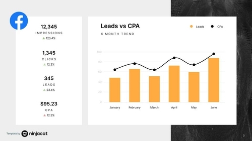 Facebook Ads Report Template | Facebook Ads Reporting Tool
