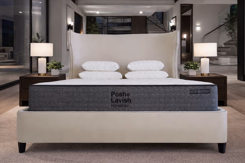 Modern bedroom with a beige upholstered bed frame and headboard, dark gray mattress labeled 'Posh+ Lavish Horsehair,' four white pillows, wooden nightstands with white lamps and green plants.