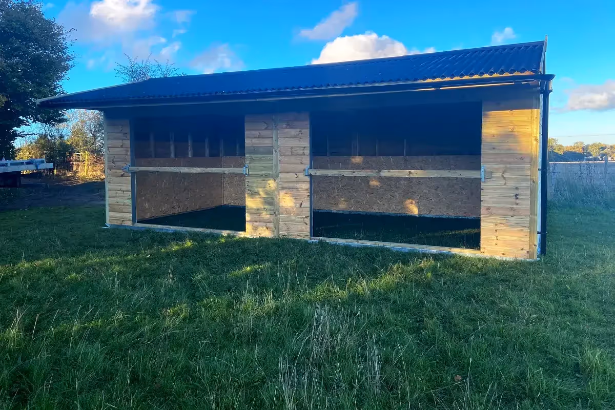 A Winter Shelter For Three Majestic Horses 