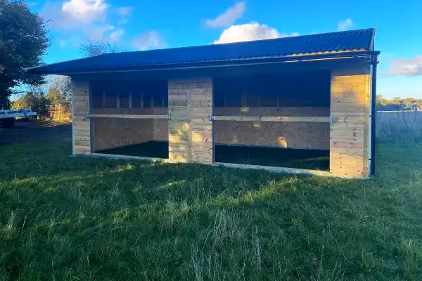 A Winter Shelter For Three Majestic Horses 