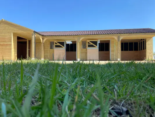 How To Design Horse Stables For Rest And Relaxation