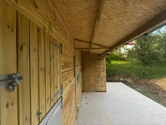 Stable Design: Tips to Improve Handler Safety and Practical Use