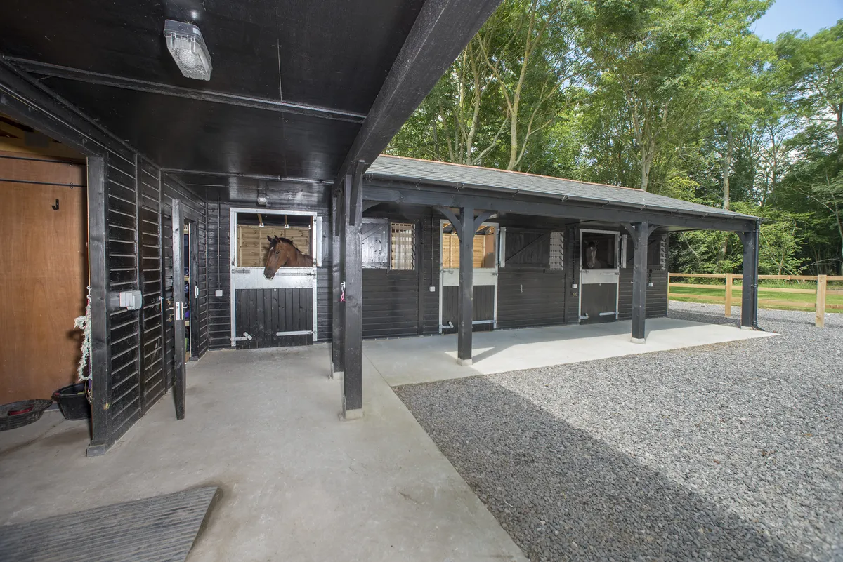 Stable Building: 8 Costly Mistakes to Avoid