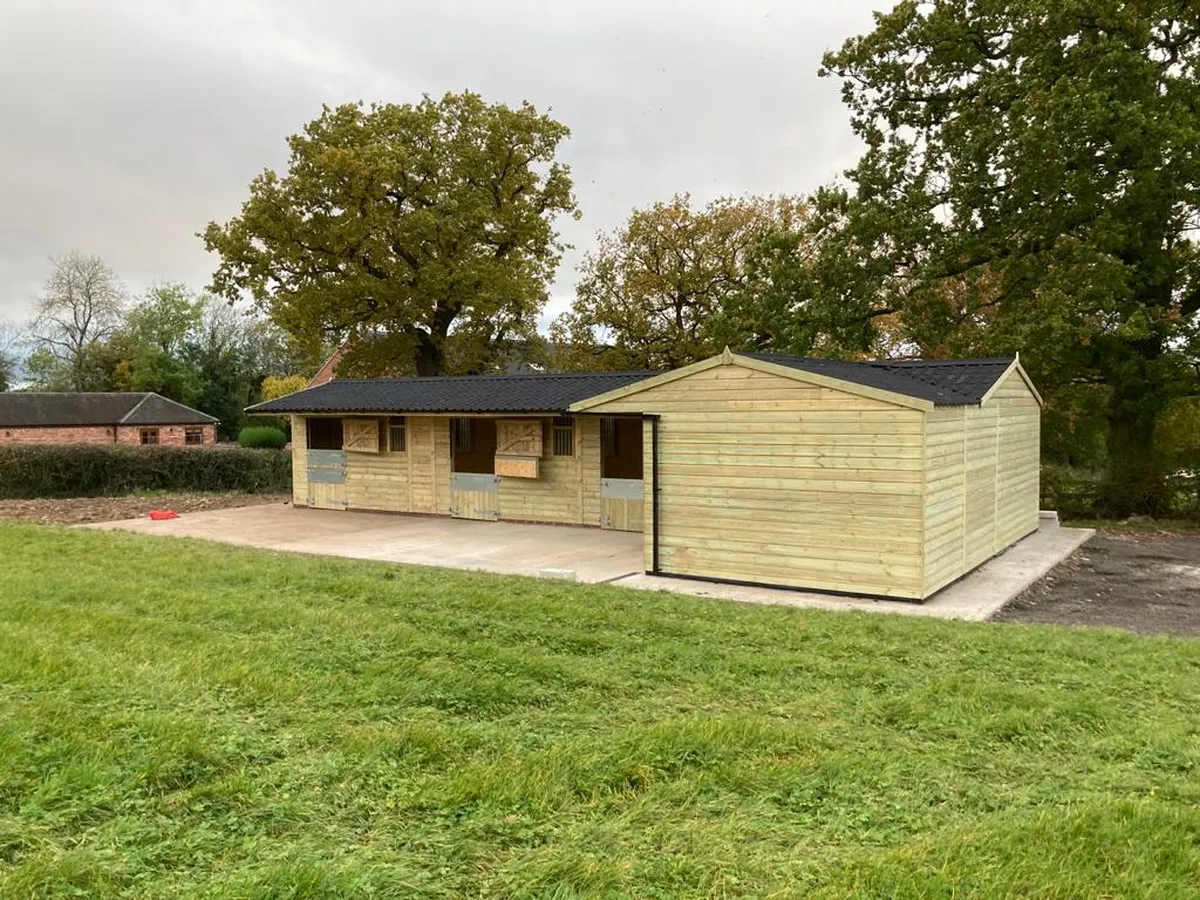 Stable Layout: How To Choose The Best Location For Horse Stables