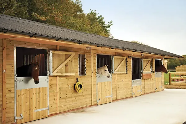 Designing Stables for Older and Retired Horses