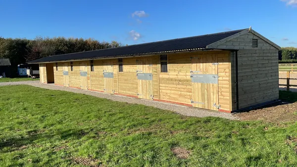 Stables vs Field Shelters: Which Is Right for Your Horses?