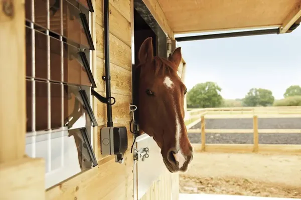 Designing Stables for Nervous Horses