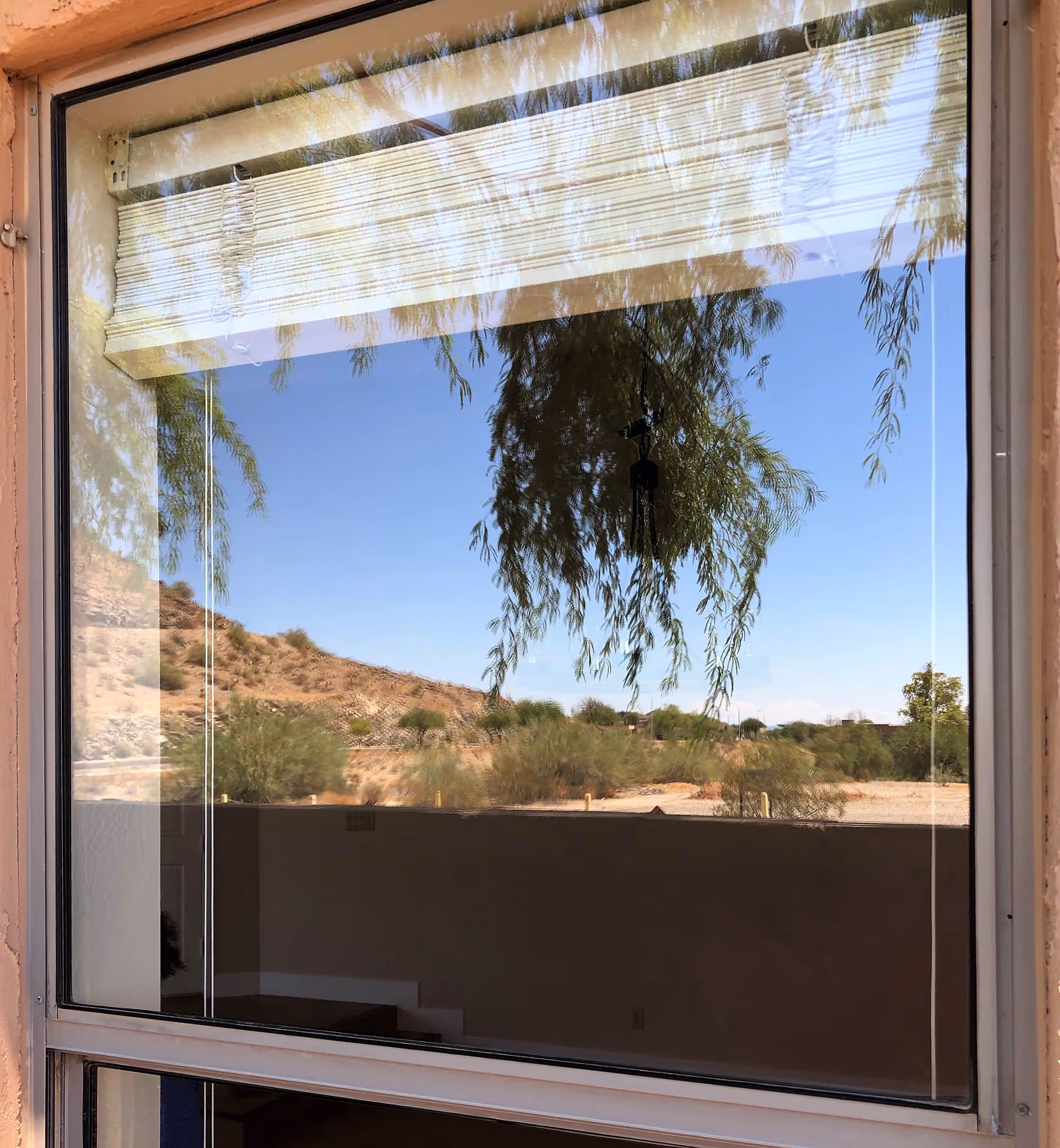 Cleaned windows in Phoenix, AZ with reflection of trees and mountain