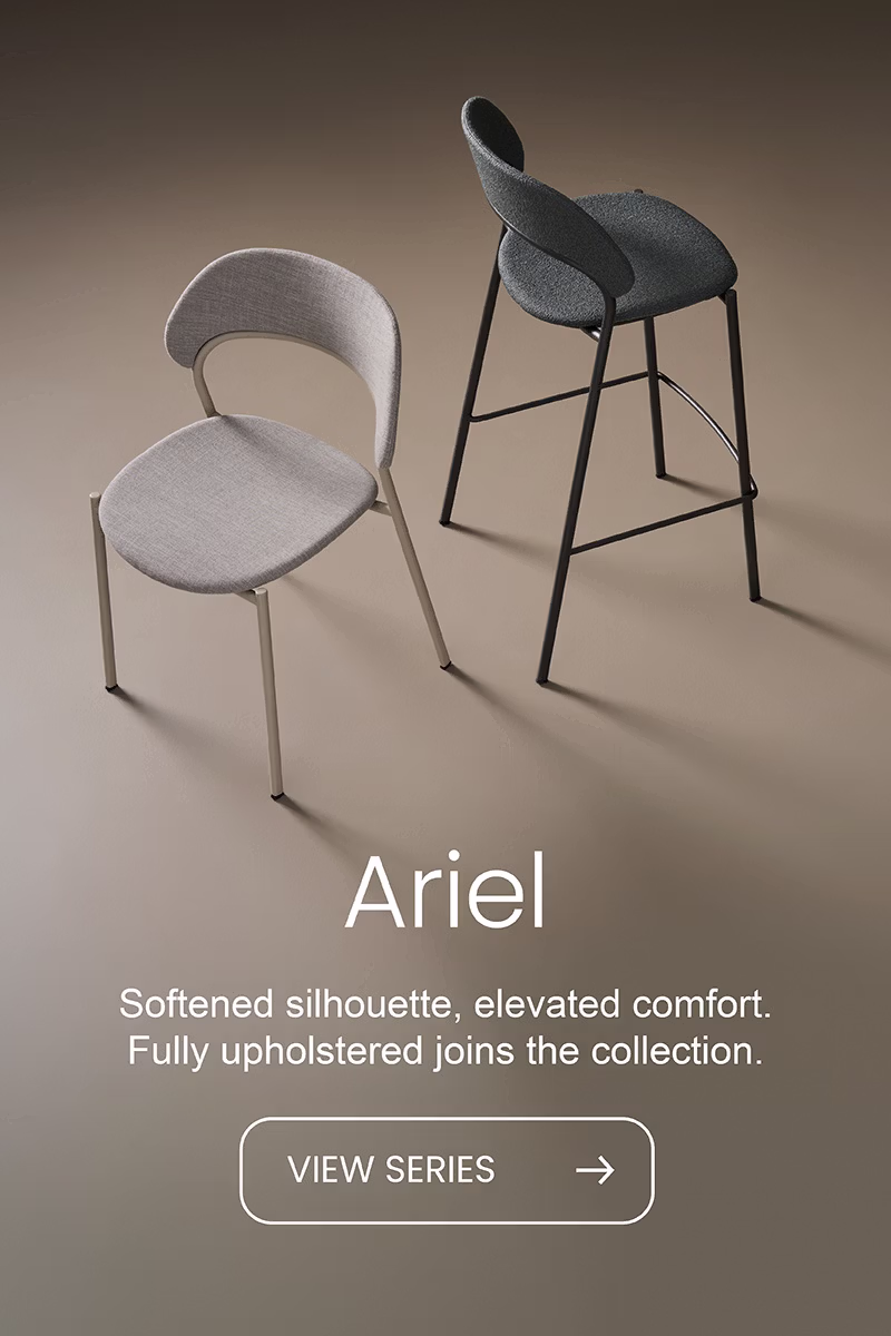 Ariel
