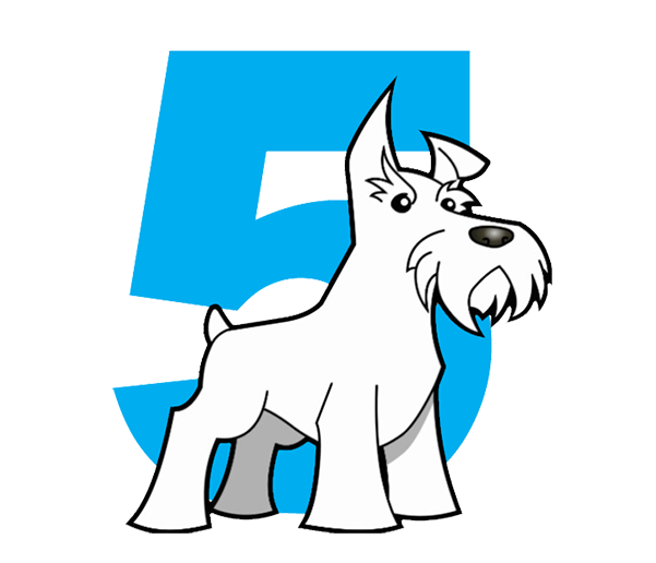 Five Dog Solutions Logo