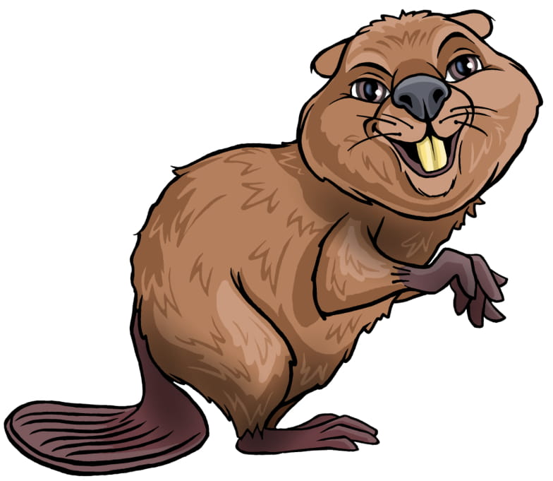 A Cute Beaver