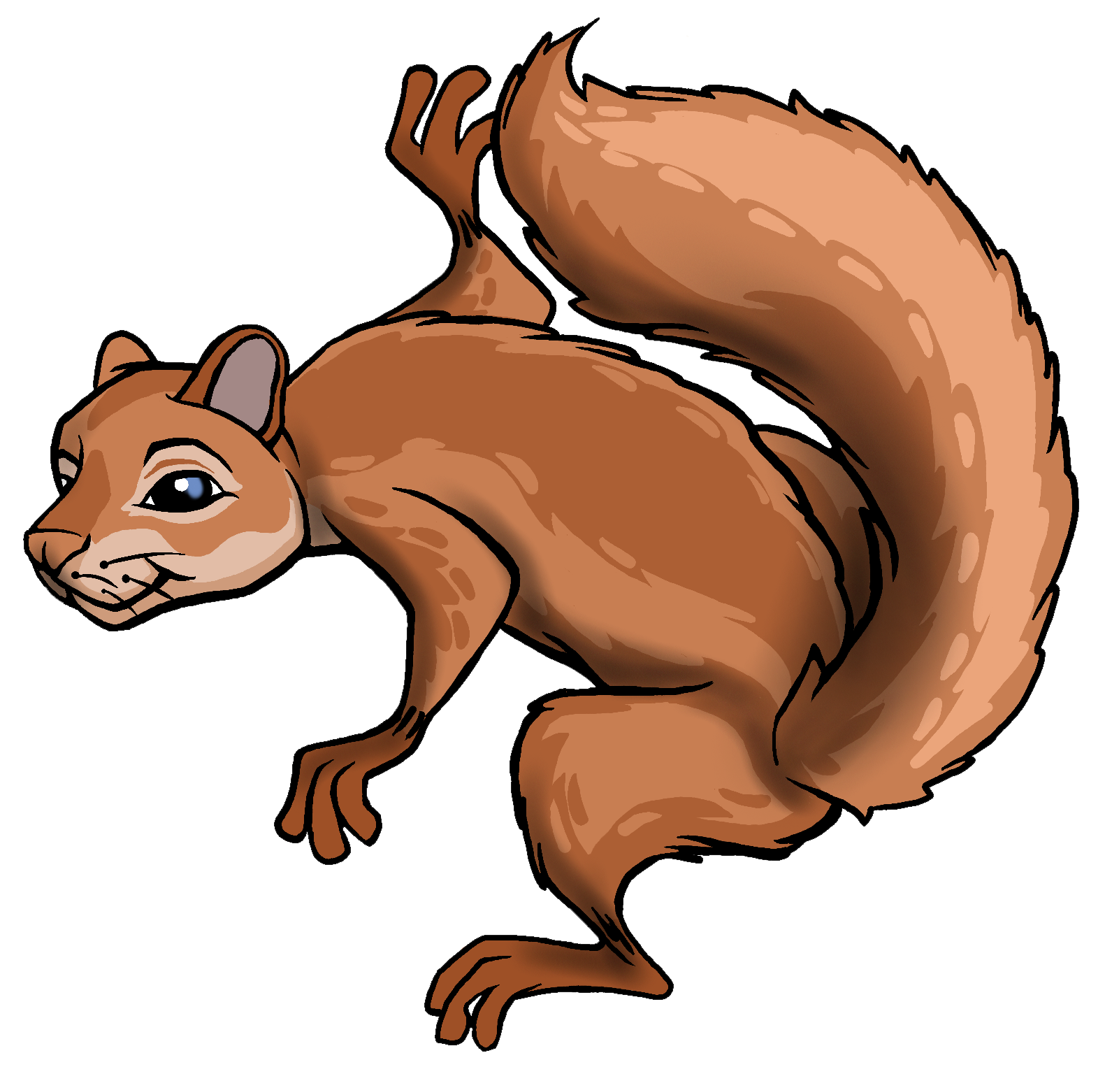 A Cute Squirrel