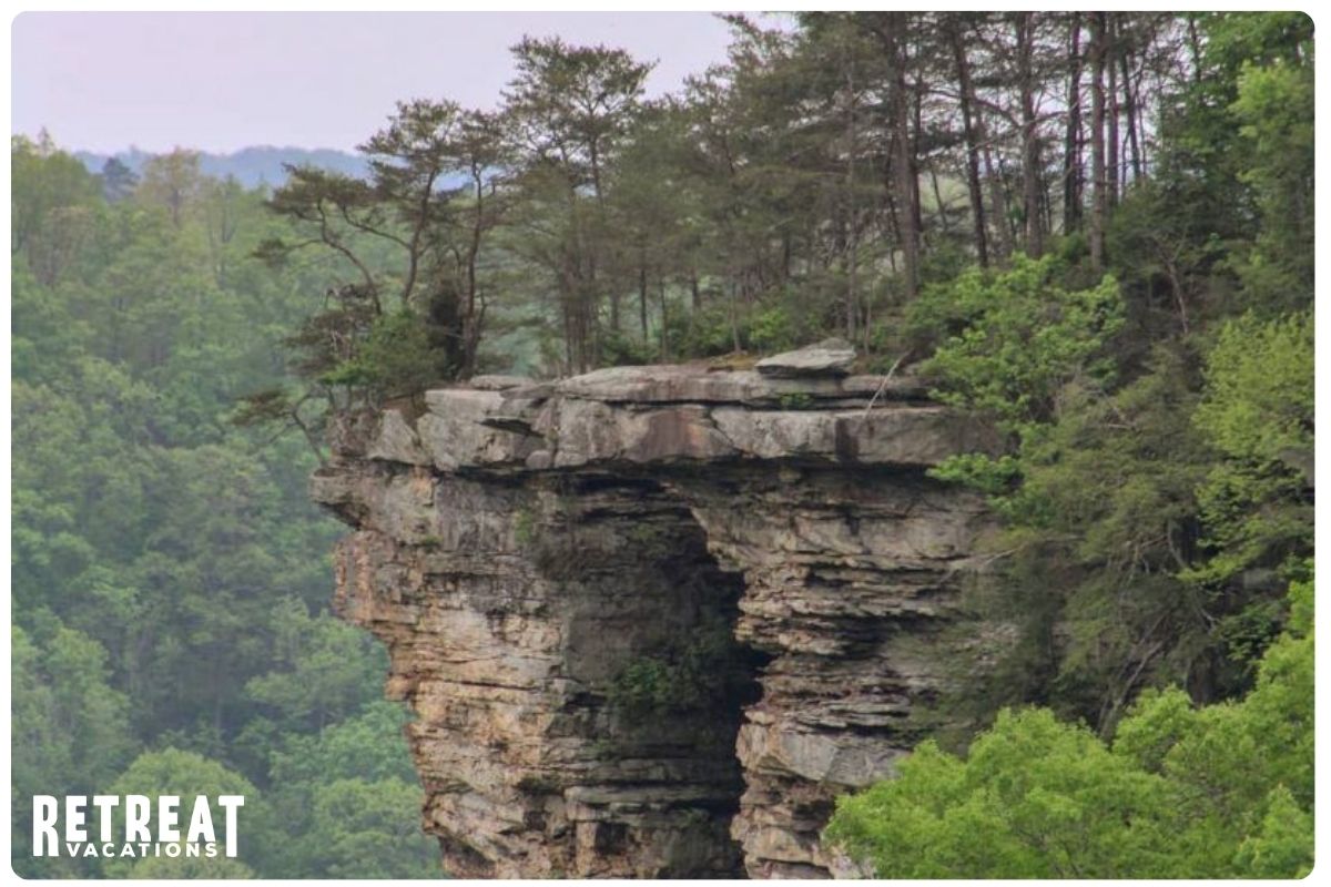 Panoramic view from Stone Door Overlook, showcasing dramatic rock formations and sweeping vistas of the Cumberland Plateau