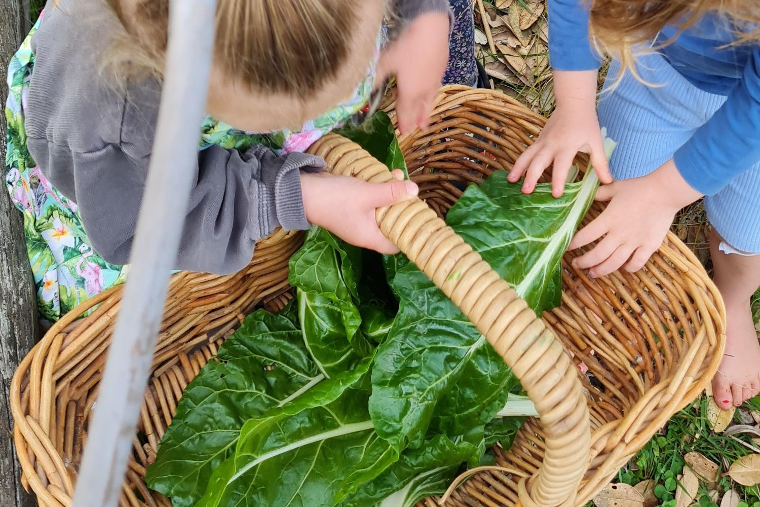 2 children harvest vegetables together