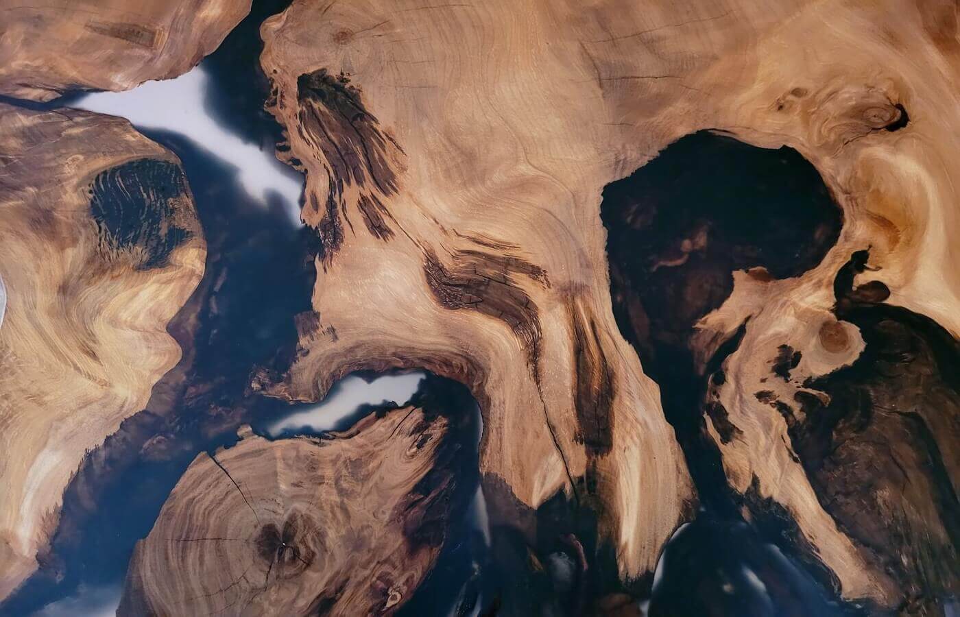 High-quality tabletop of the exclusive wooden table and designer coffee table made of millennia-old Kauri root wood for special interior design
