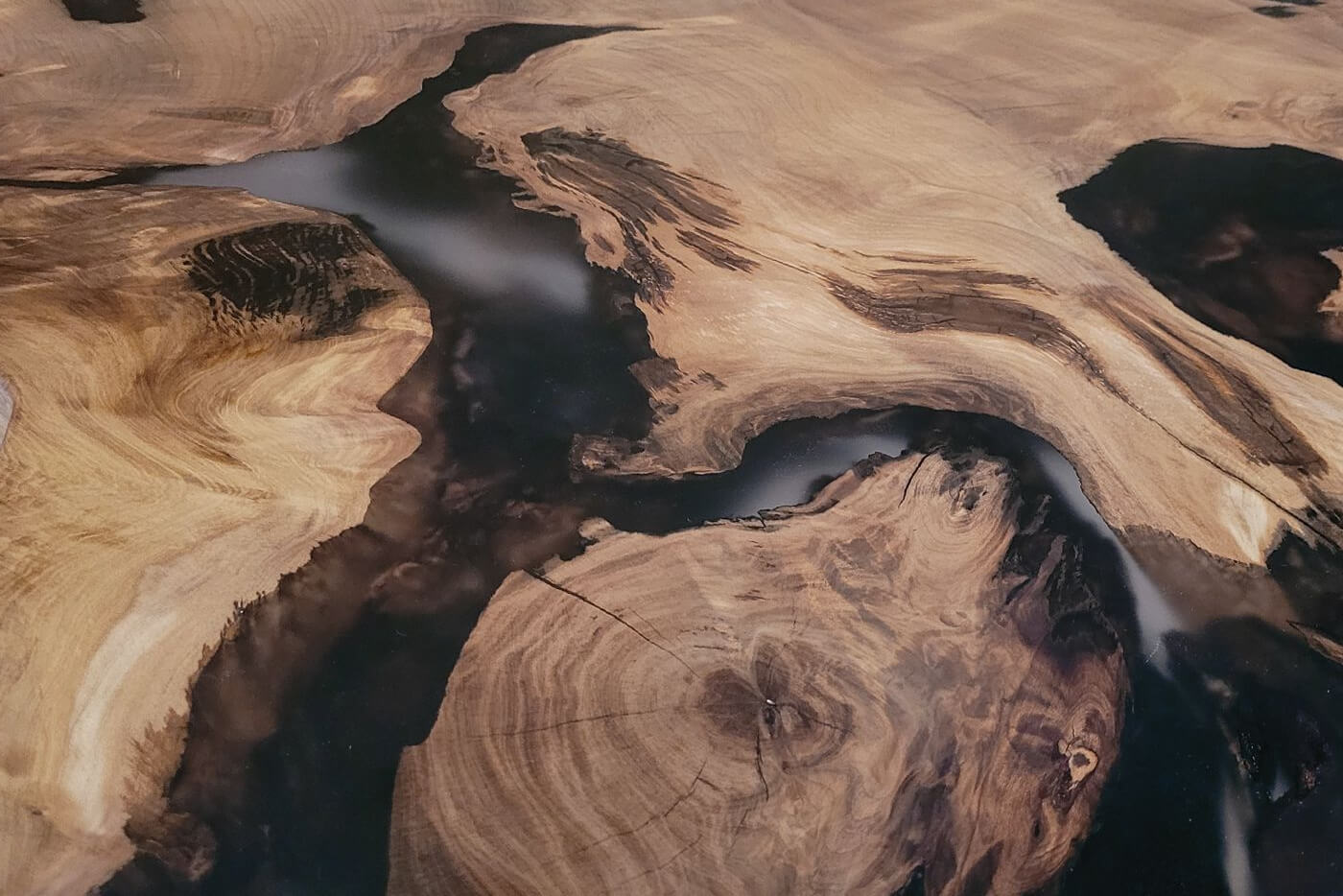 Impressive solid wood table top from the exclusive designer coffee table made of beautiful burl wood with a special surface protected against liquids