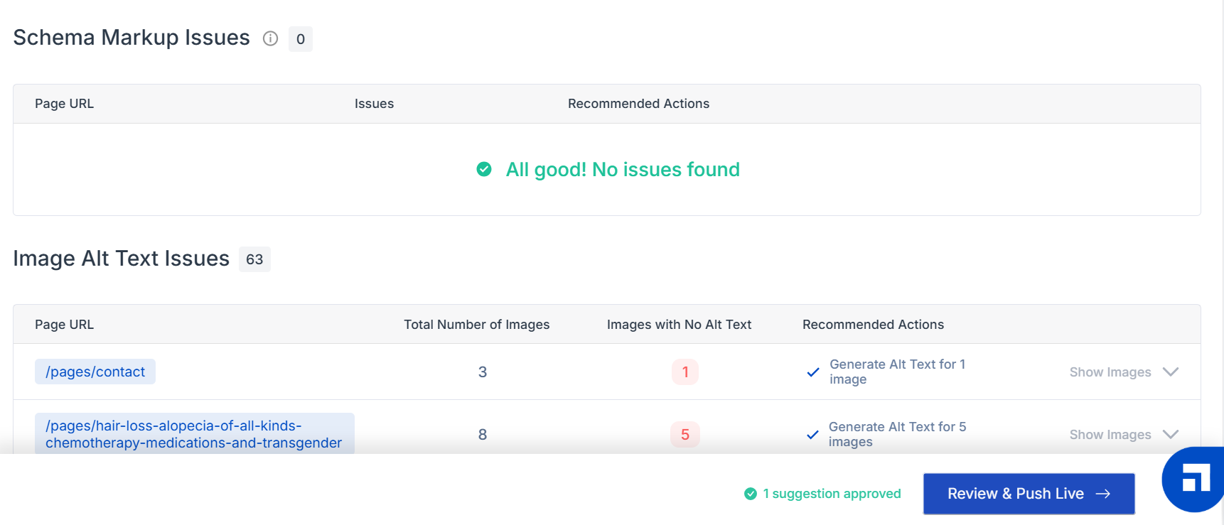 Scalenut’s OnPage Pro tool showing schema markup issues found in