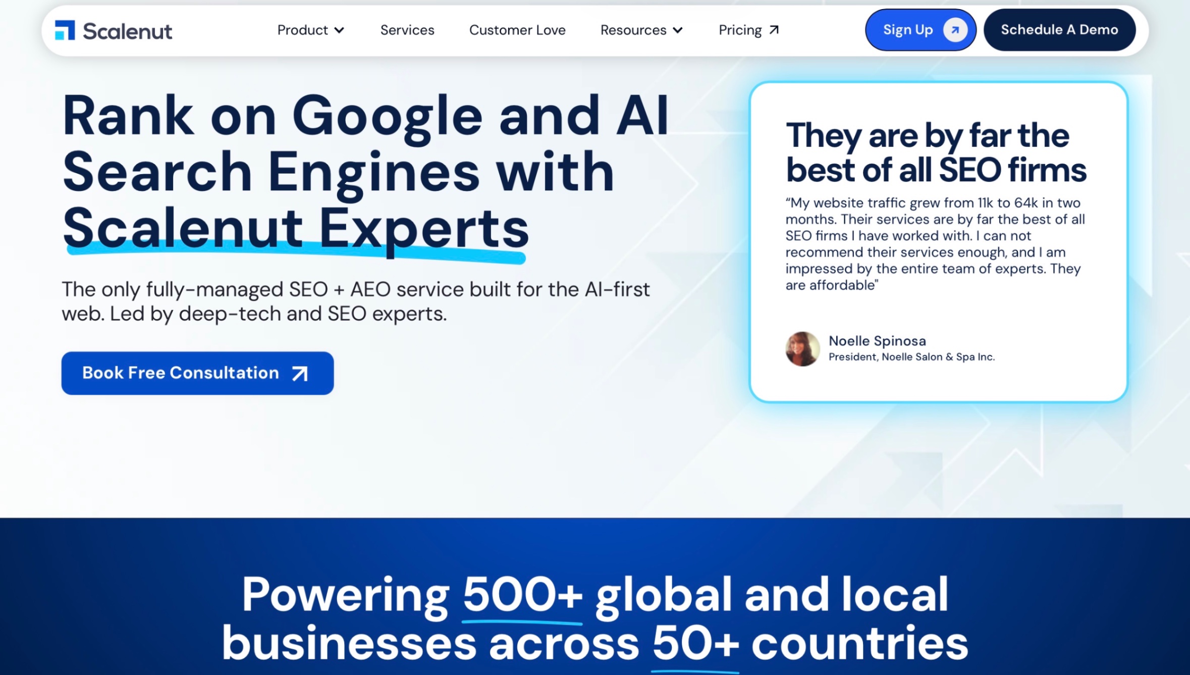 SEO Surge Landing Page Screenshot