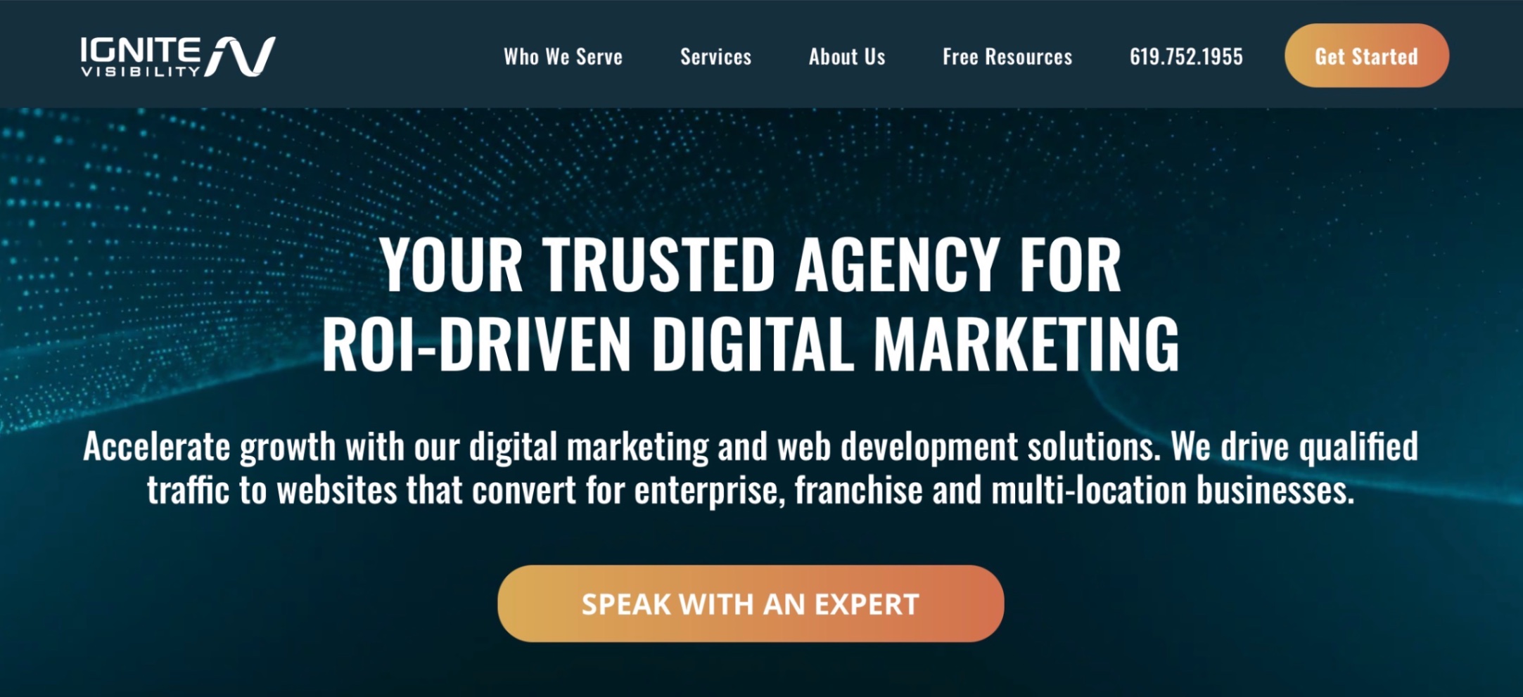 Ignite Visibility Homepage Screenshot