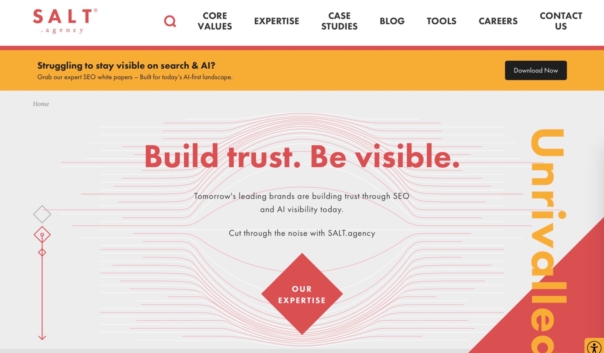 SALT.agency Homepage Screenshot